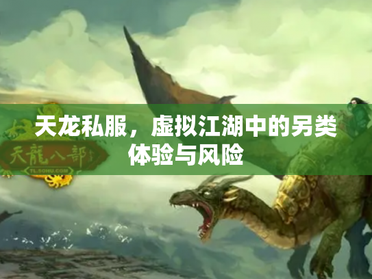 天龙私服，虚拟江湖中的另类体验与风险