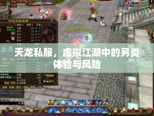 天龙私服，虚拟江湖中的另类体验与风险