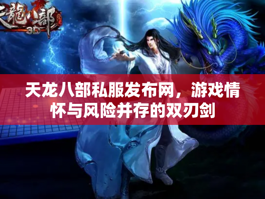 天龙八部私服发布网，游戏情怀与风险并存的双刃剑