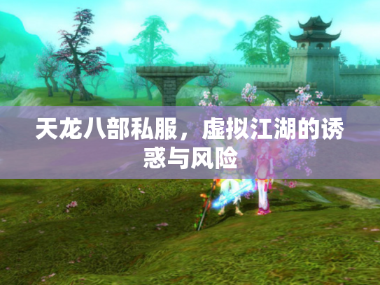 天龙八部私服，虚拟江湖的诱惑与风险