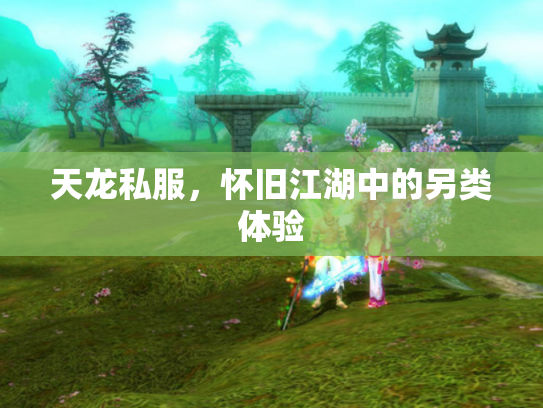 天龙私服，怀旧江湖中的另类体验