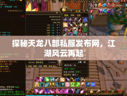 探秘天龙八部私服发布网，江湖风云再起