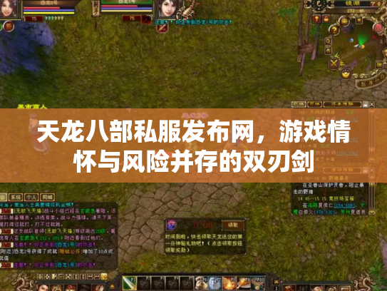 天龙八部私服发布网，游戏情怀与风险并存的双刃剑