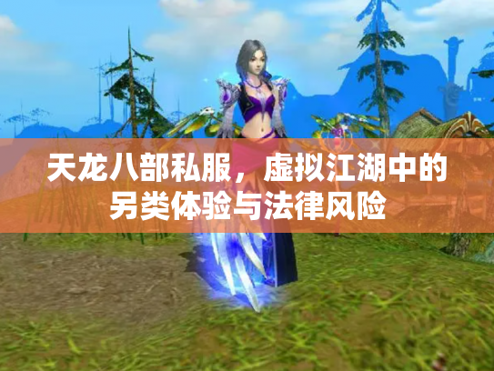天龙八部私服，虚拟江湖中的另类体验与法律风险