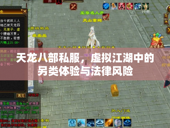 天龙八部私服，虚拟江湖中的另类体验与法律风险