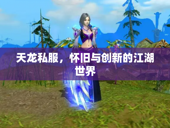 天龙私服，怀旧与创新的江湖世界