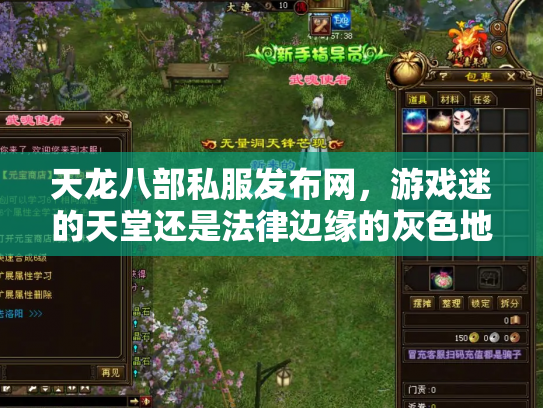 天龙八部私服发布网，游戏迷的天堂还是法律边缘的灰色地带？
