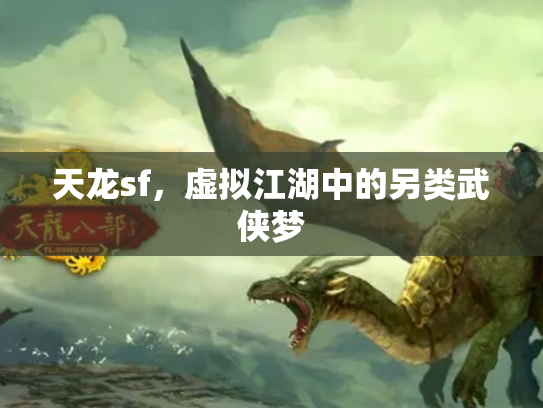 天龙sf，虚拟江湖中的另类武侠梦