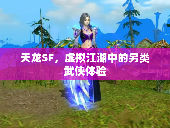 天龙SF，虚拟江湖中的另类武侠体验