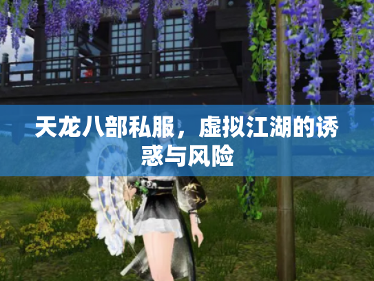 天龙八部私服，虚拟江湖的诱惑与风险