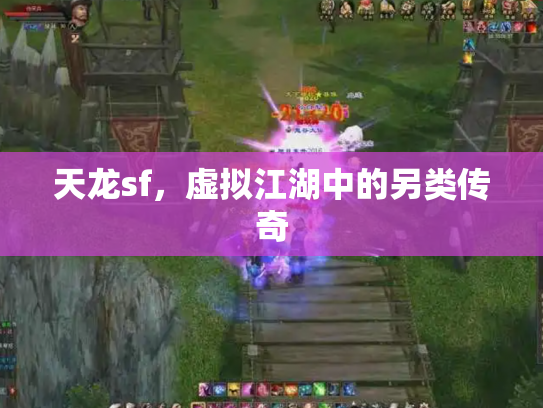 天龙sf，虚拟江湖中的另类传奇