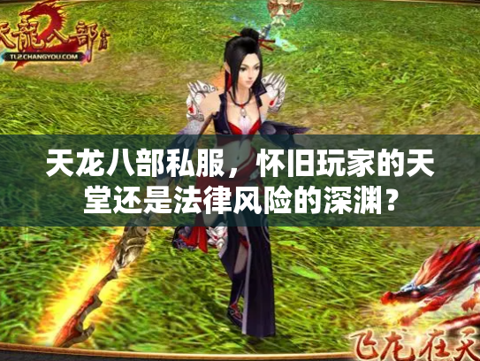 天龙八部私服，怀旧玩家的天堂还是法律风险的深渊？