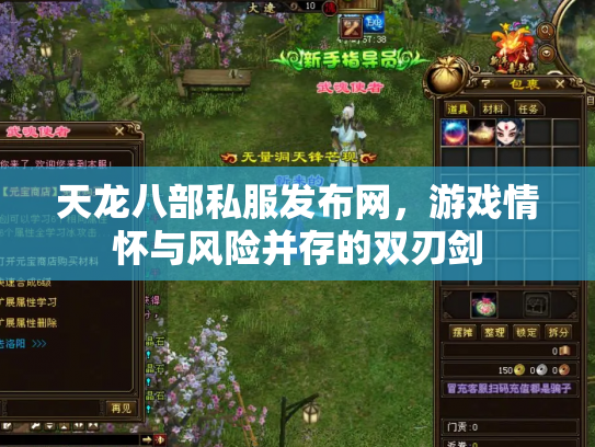 天龙八部私服发布网，游戏情怀与风险并存的双刃剑