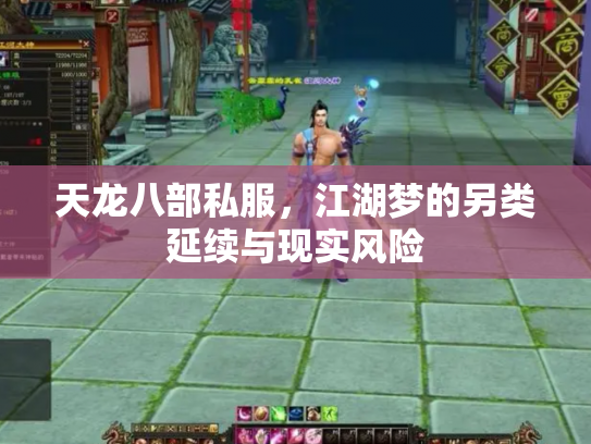 天龙八部私服，江湖梦的另类延续与现实风险