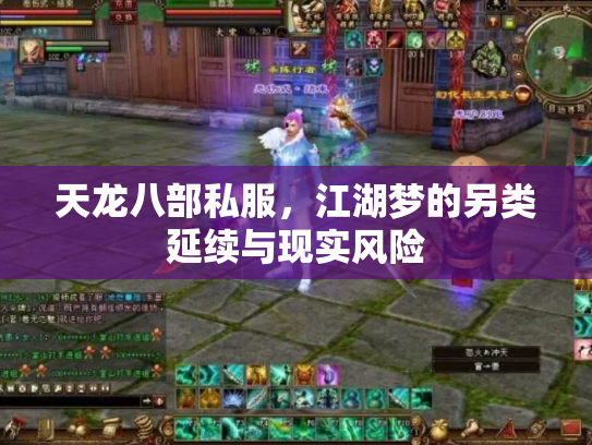 天龙八部私服，江湖梦的另类延续与现实风险