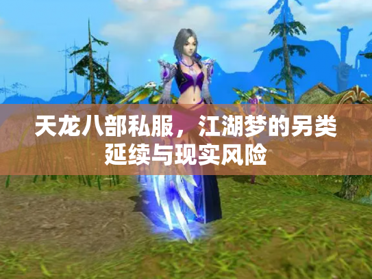 天龙八部私服，江湖梦的另类延续与现实风险