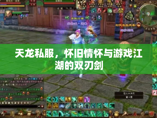 天龙私服，怀旧情怀与游戏江湖的双刃剑