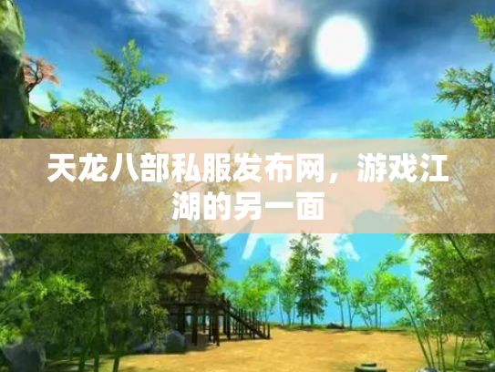 天龙八部私服发布网，游戏江湖的另一面