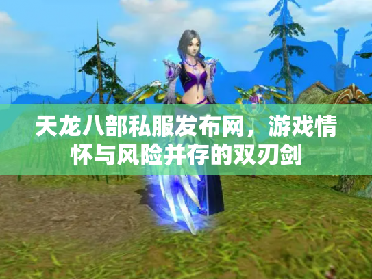 天龙八部私服发布网，游戏情怀与风险并存的双刃剑