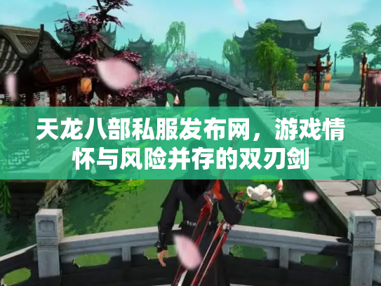 天龙八部私服发布网，游戏情怀与风险并存的双刃剑