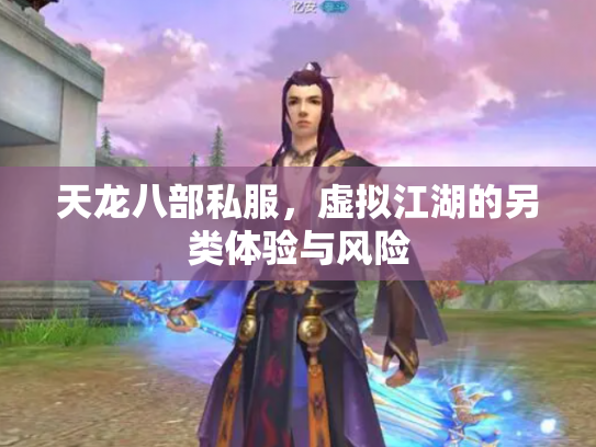 天龙八部私服，虚拟江湖的另类体验与风险