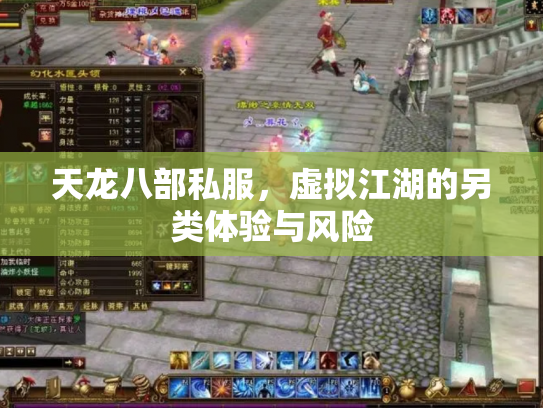 天龙八部私服，虚拟江湖的另类体验与风险
