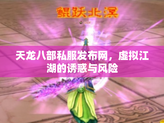天龙八部私服发布网，虚拟江湖的诱惑与风险