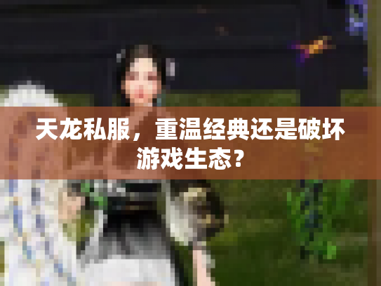 天龙私服，重温经典还是破坏游戏生态？