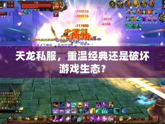 天龙私服，重温经典还是破坏游戏生态？