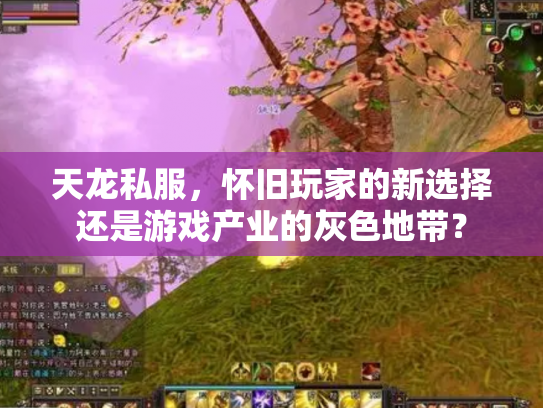 天龙私服，怀旧玩家的新选择还是游戏产业的灰色地带？