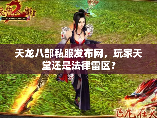 天龙八部私服发布网，玩家天堂还是法律雷区？