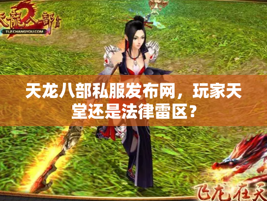 天龙八部私服发布网，玩家天堂还是法律雷区？