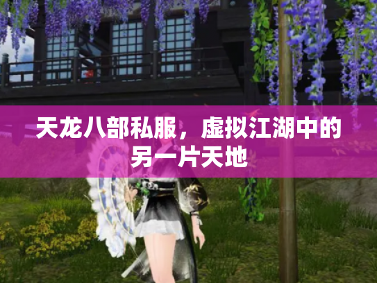 天龙八部私服，虚拟江湖中的另一片天地
