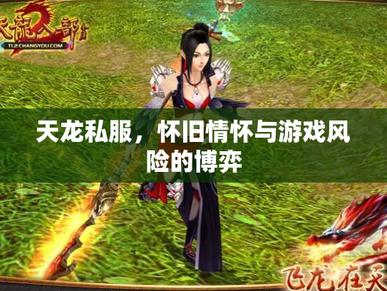 天龙私服，怀旧情怀与游戏风险的博弈
