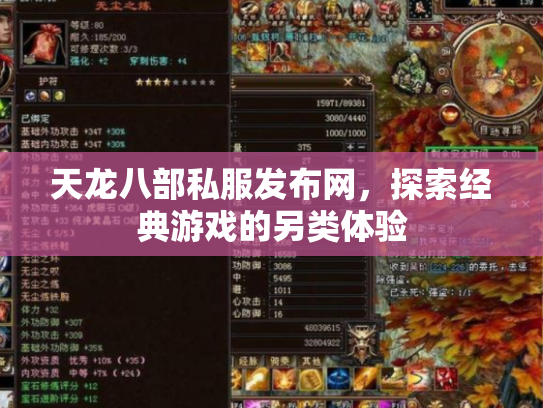 天龙八部私服发布网，探索经典游戏的另类体验