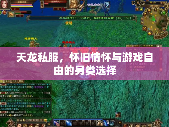 天龙私服，怀旧情怀与游戏自由的另类选择