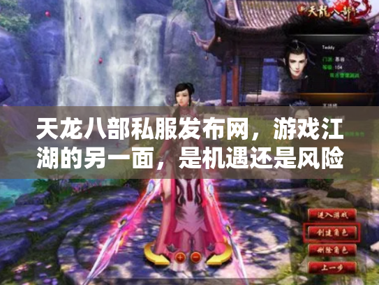 天龙八部私服发布网，游戏江湖的另一面，是机遇还是风险？