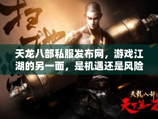 天龙八部私服发布网，游戏江湖的另一面，是机遇还是风险？