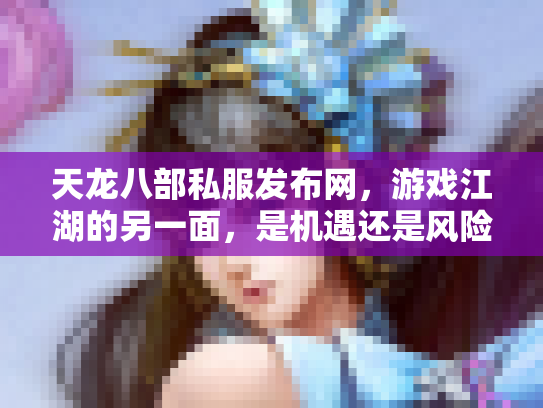 天龙八部私服发布网，游戏江湖的另一面，是机遇还是风险？