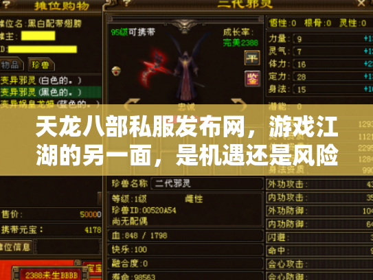 天龙八部私服发布网，游戏江湖的另一面，是机遇还是风险？