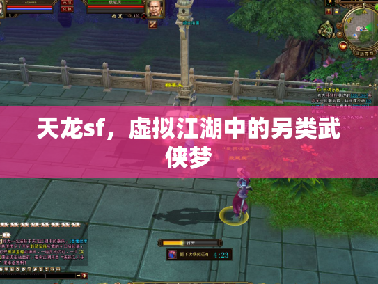 天龙sf，虚拟江湖中的另类武侠梦