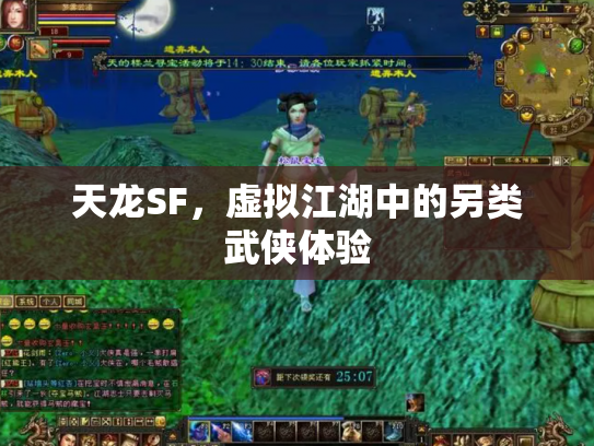 天龙SF，虚拟江湖中的另类武侠体验