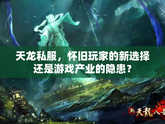 天龙私服，怀旧玩家的新选择还是游戏产业的隐患？