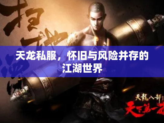 天龙私服，怀旧与风险并存的江湖世界