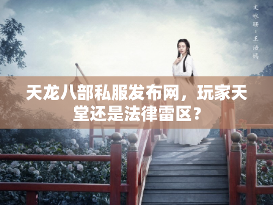 天龙八部私服发布网，玩家天堂还是法律雷区？