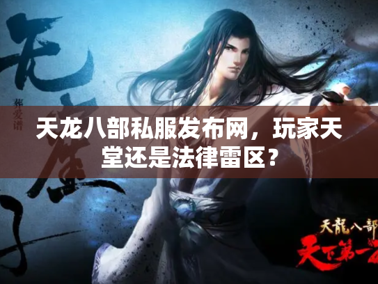 天龙八部私服发布网，玩家天堂还是法律雷区？