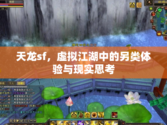 天龙sf，虚拟江湖中的另类体验与现实思考