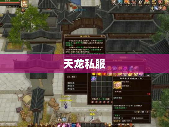 天龙私服