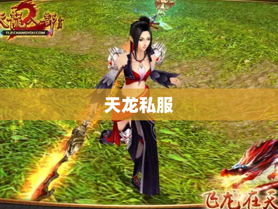 天龙私服