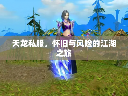 天龙私服，怀旧与风险的江湖之旅